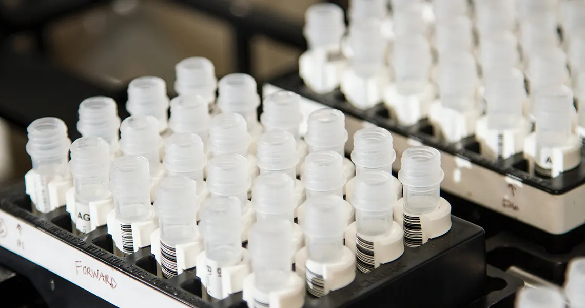 CBD and THC urine screening