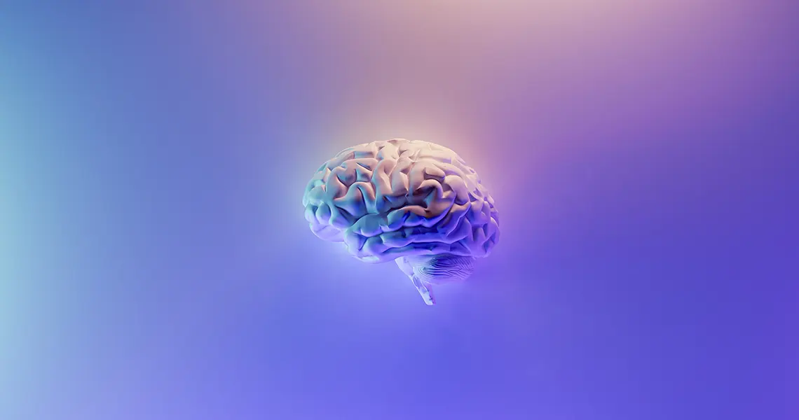 CBD and the brain
