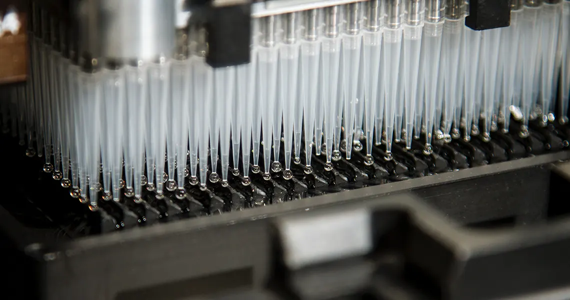 CBD oil extraction equipment
