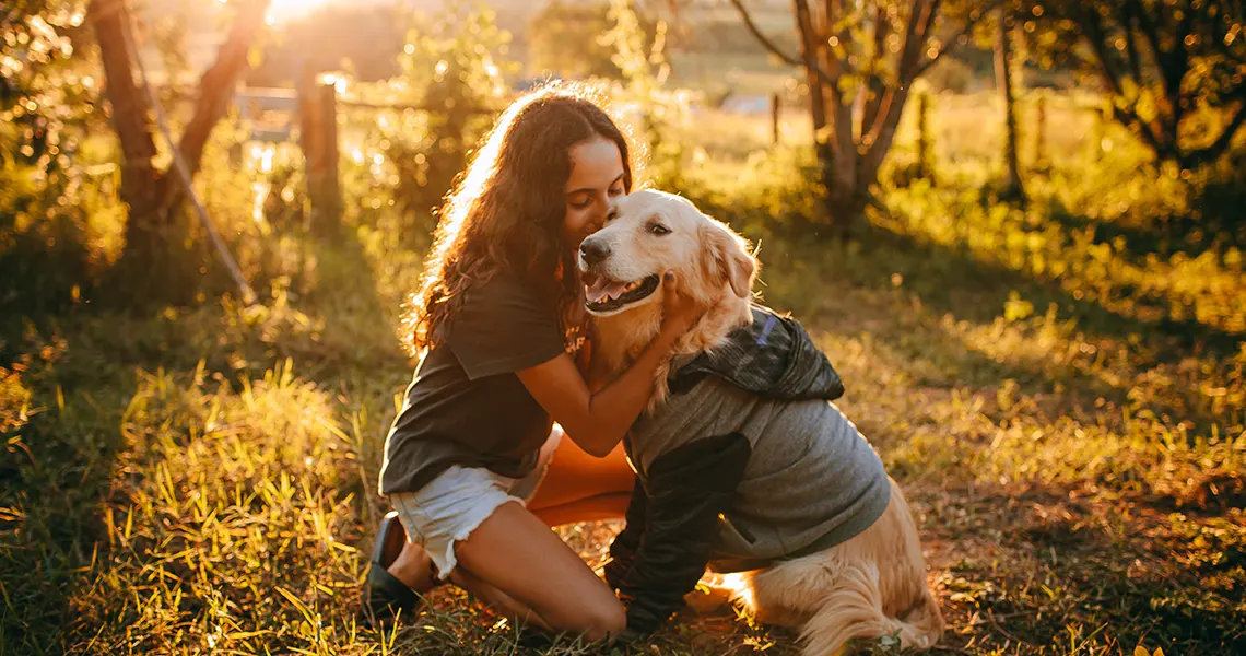 CBD oil pets effects