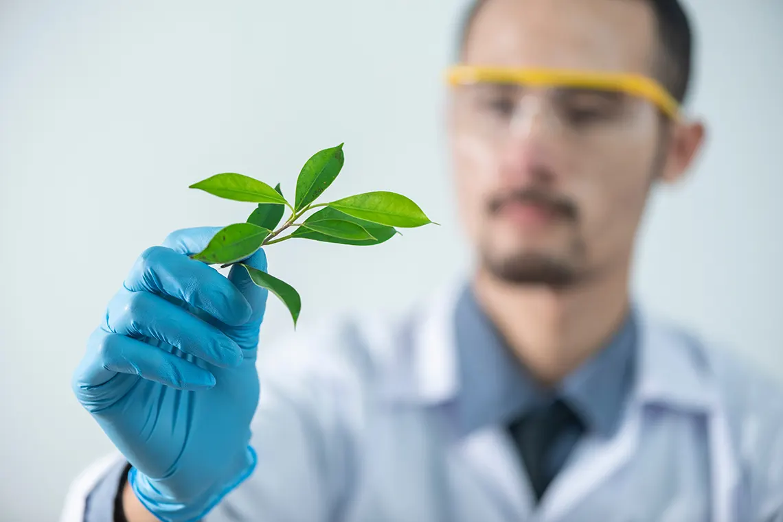 Benefits of CBD oil