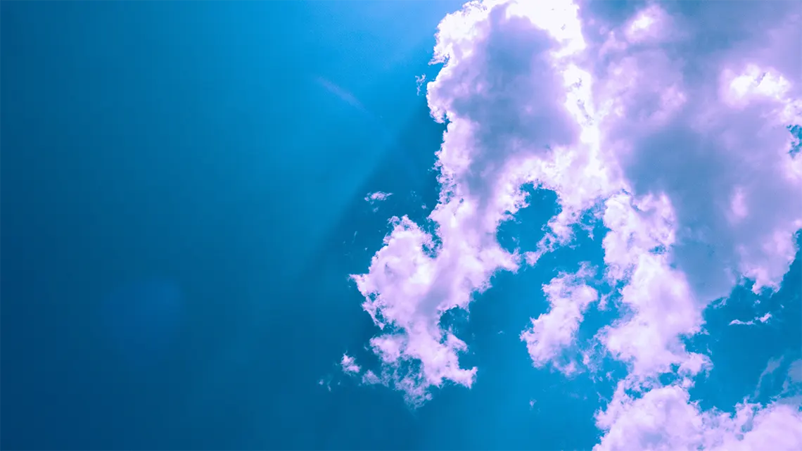 CBD effects on brain